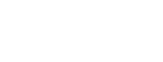 The Wagner Chiropractic website footer logo
